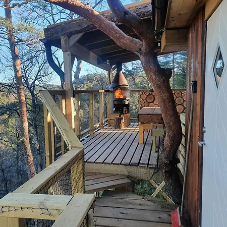 Gluba Treetop Elgposten Semesterbostad Harkmark