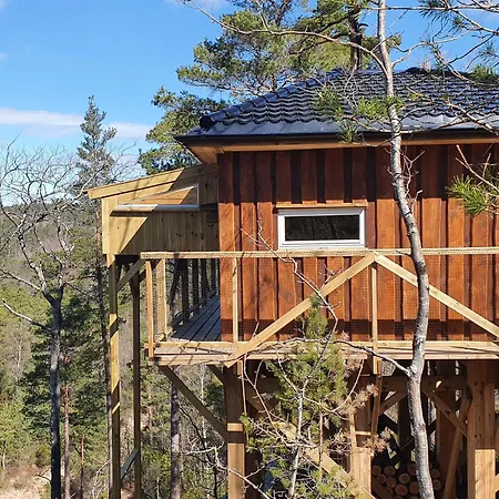 Gluba Treetop Elgposten *
