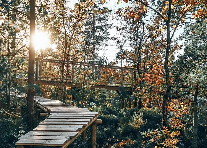 Hébergement de vacances Gluba Treetop Elgposten